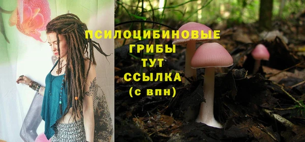гидра Баксан