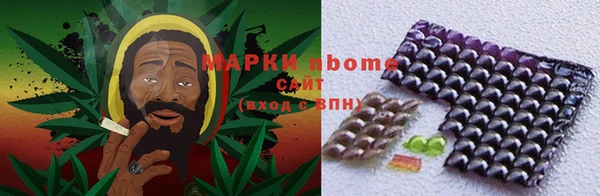 СК Инта